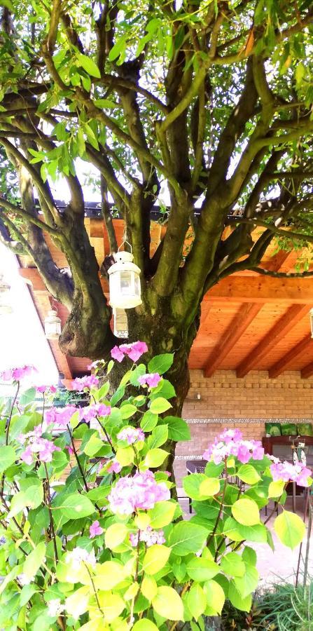 Su Misura Villa Molini  Exteriör bild