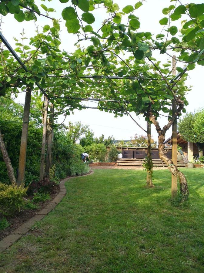 Su Misura Villa Molini  Exteriör bild
